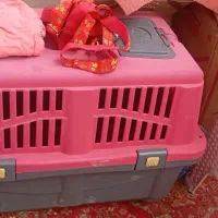 باکس سگ و گربه سایز ۴ رها