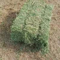 فروش پرس یونجه