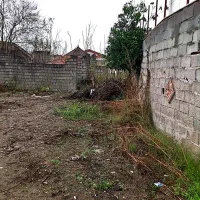 زمین سنددار زیبا کنار ۳۲۴ متری|فروش زمین و ملک کلنگی|لشت نشا, |دیوار