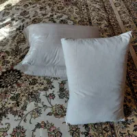 بالشت پرمخلوط شده باپشم شیشه|رختخواب، بالش، پتو|تبریز, |دیوار