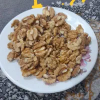 تویسرکان مغز گردو|حراج|قم, چهل درخت‎|دیوار
