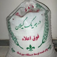 برنج درجه یک گیلان