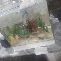 آکواریوم