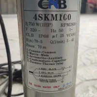 جوجه لاری و شناور ۷۰متری|حیوانات مزرعه|گرگان, |دیوار