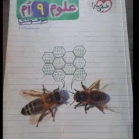 علوم نهم