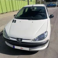 206 مدل 91 شاسی سالم تک برگ سند