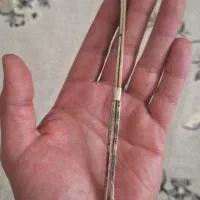 وسایل قدیمی برنجی آنتیک|کلکسیون اشیاء عتیقه|اردبیل, |دیوار