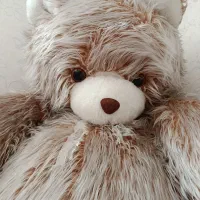 خرس بزرگ|اسباب‌بازی بچه|نسیم‌شهر, |دیوار