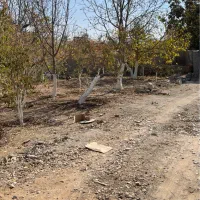 زمین ۳۹۰ متر باغ سندتکبرگ انشعابات دماوند جابان|فروش زمین و ملک کلنگی|دماوند, دماوند|دیوار