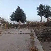 زمین باغی دور دیوار گلمکان سند شش دانگ متداژ 3200|فروش خانه و ویلا|گلمکان, |دیوار