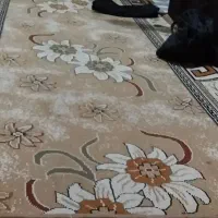 گلیم ۱۱۵ در۳ متر