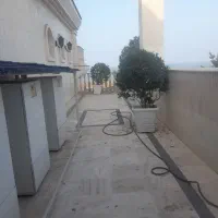 یاس هلندی  بزرگ با گلدون