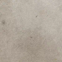 موکت پرزبلند پالاز