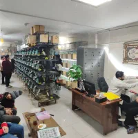 کوتوله‌مرغ‌عشق‌گرینچیک‌ملنگو‌برزیلی‌فنچ‌سهره‌طوطی|پرنده|مشهد, فاطمیه|دیوار