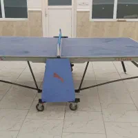 میز پینگ پنگ|ورزشهای توپی|بندر گناوه, |دیوار