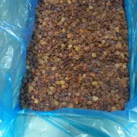 کشمش خوراکی|خوردنی و آشامیدنی|شوشتر, |دیوار