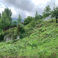 زمین با کاربری مسکونی ۲۳۲ متر ، روستا کنیج کلا|فروش زمین و ملک کلنگی|زیرآب, |دیوار