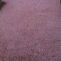 پالاز موکت