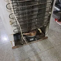 یخچال‌فریزر|یخچال و فریزر|بیرجند, |دیوار