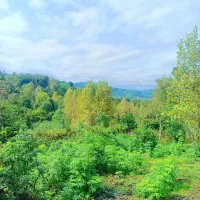 زمین500متری-با-یک-ویلای-80متری