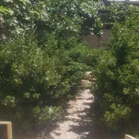 ملک ویلایی ۲۰۰ متری حصارک بالا|فروش خانه و ویلا|کرج, حصارک بالا|دیوار