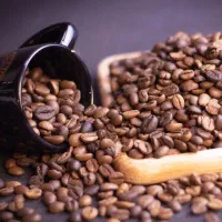 فروش ویژه کیلویی قهوه|عمدهفروشی|اصفهان, شهریار|دیوار