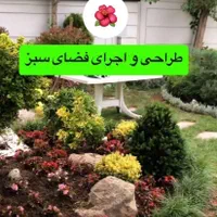 طراحی،اجرای فضای سبز،باغچه امورباغبانی،تعویض گلدان