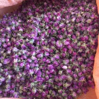 استخدام یک حسابدار یک فروشنده ویک کارگر