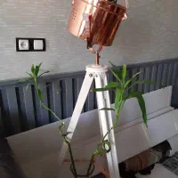 آباژور ایستاده کنار مبلی|چراغ خواب و آباژور|چمران, |دیوار