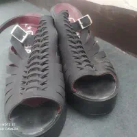 کفش نو|کیف، کفش، کمربند|ایوان, |دیوار