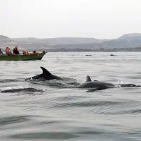 تور قشم 5 روزه هتل ساحلی - ارزان - قسطی