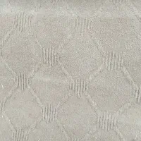 موکت سالم ۵ ملیون حدود ۴۰ متر|موکت|تربتحیدریه, پارک کاشانی|دیوار