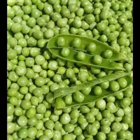 نخود سبز پاک شده و باقالی لپه شده