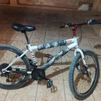 دوچرخه 26 ویوا