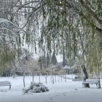 زمین مسکونی /چهار دیواری