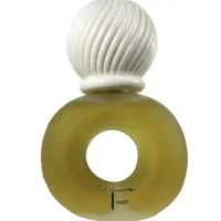 عطر بیژن مردانه اصل