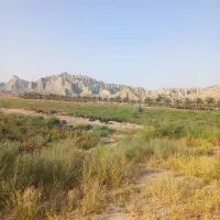 اجاره 8 هکتار زمین کشاورزی در ریاک کریان میناب