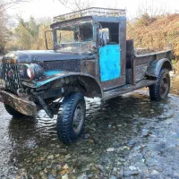 دوج وارگو آمریکایی