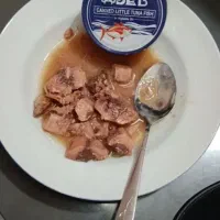 تن ماهی عادل ۱۸۰ گرم