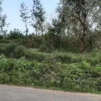 ملک با کاربری جهانگردی و گردشگری|فروش زمین و ملک کلنگی|مشهد, نوفل لوشاتو|دیوار