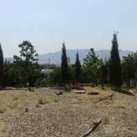 بوستان-باغ-شهر-اکازیون
