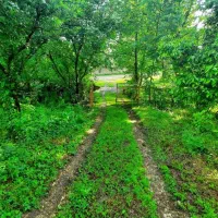 زمین سندار تفکیک شده در ماکلوان