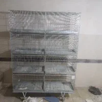 قفس هشت خان غلامی و پژاوند