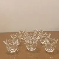 لاله ی لوسترآکبند