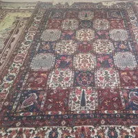 قالی دستباف|فرش|سامان, |دیوار