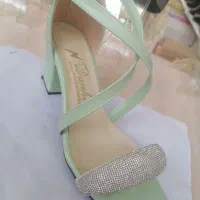 مجلسی زنانه