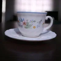 فنجان نعلبکی ویکتوریا فرانسه