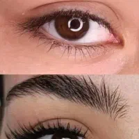 آموزش کاشت مژه با تخفیف یلدایی فقط 2500|خدمات آموزشی|فولادشهر, C5|دیوار