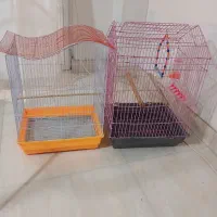 قفس عروس هلندی|لوازم جانبی حیوانات|آستارا, |دیوار