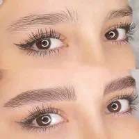 میکروبلیدینگ ابرو،شیدینگ لب،خط چشم و بن مژه.|خدمات آرایشگری و زیبایی|تهران, سلسبیل شمالی|دیوار